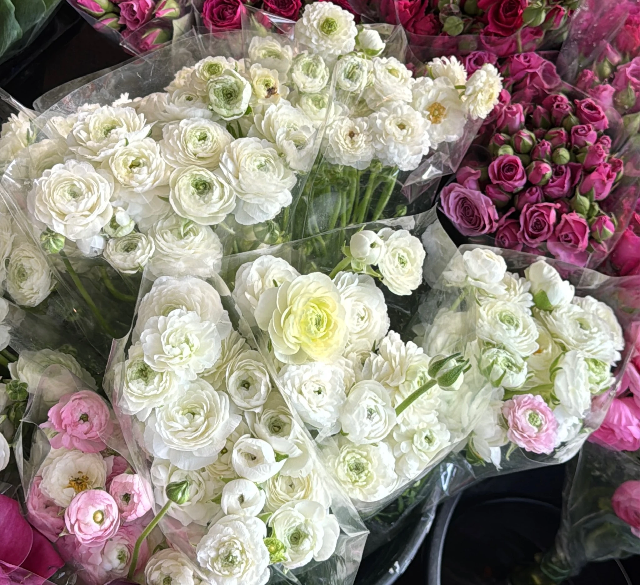 Flores e insumos florales seleccionados por Dilo Con Flores